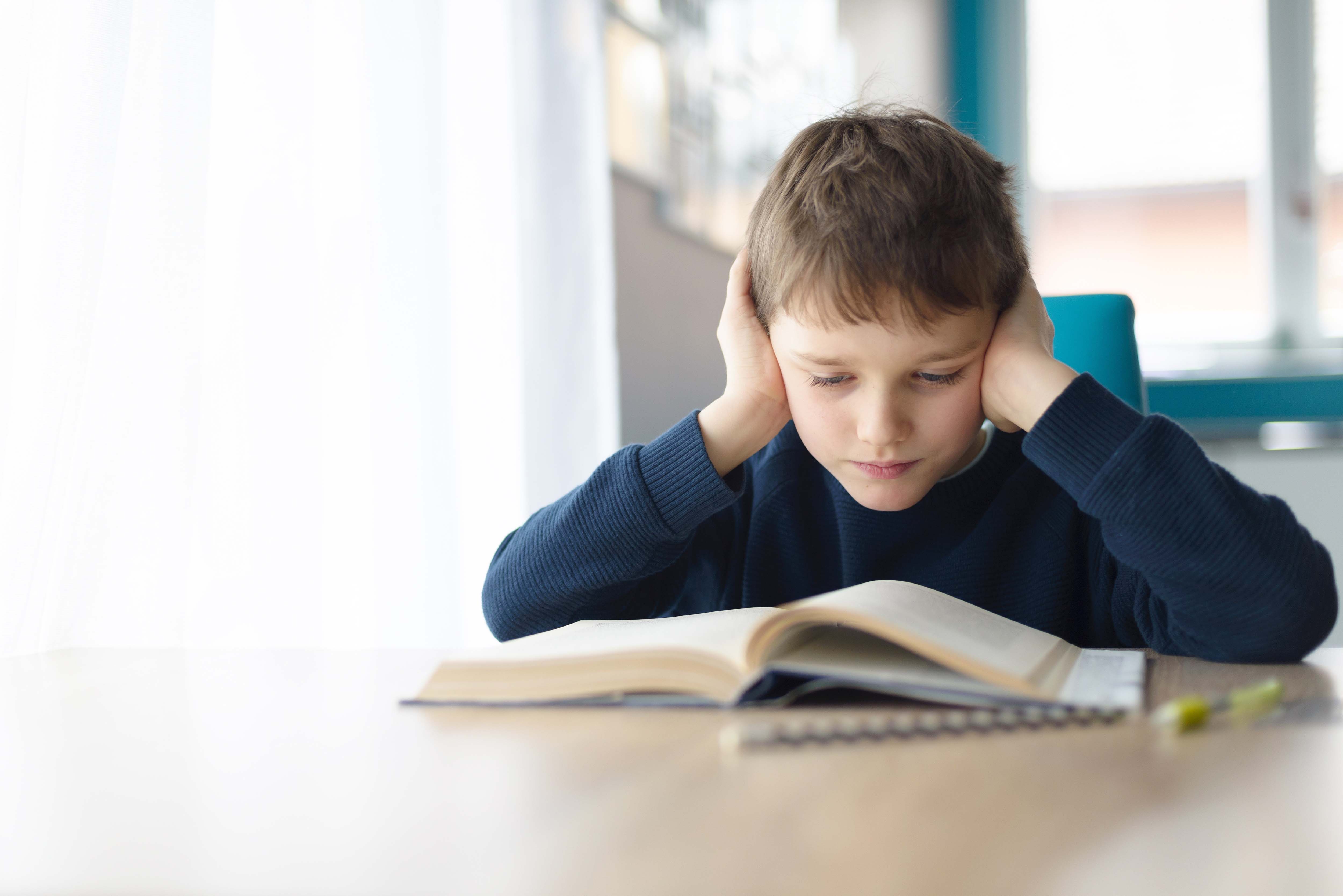 Learning Ally | What Struggling Readers Wish School Administrator