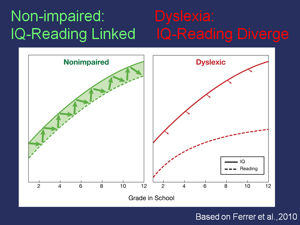 Can dyslexic have high IQ?