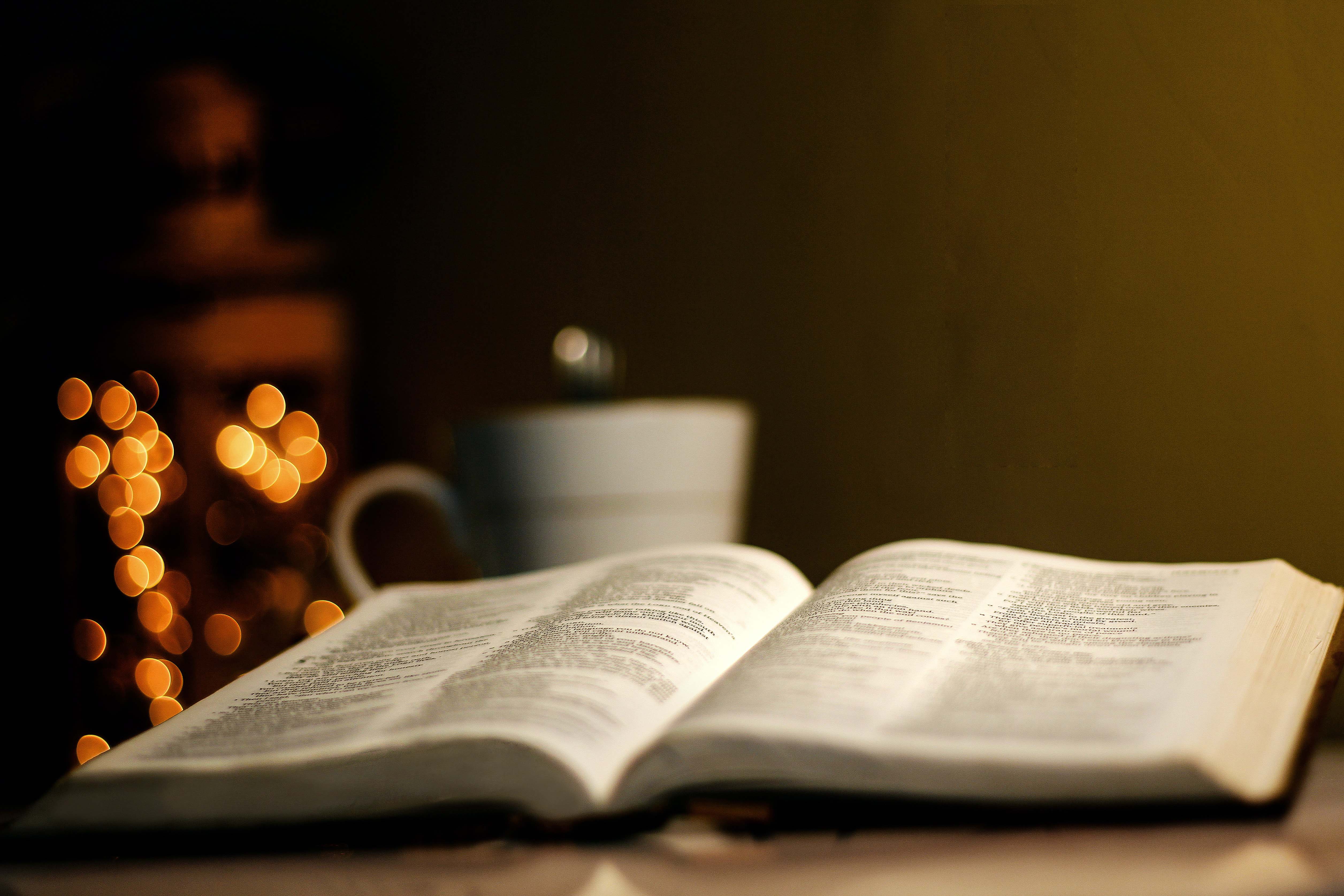 The image shows a book laying open on a table and the view is as if you're looking at it from table level. Behind the book is a coffee mug and holiday lights, both out of focus, giving the photo a soft glow.