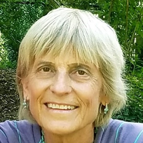 Lynne Sutter Baldwin